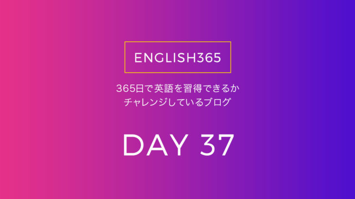 英語習得チャレンジ｢37日目｣…海外通販サイトの評価欄には英語がいっぱいあるけど