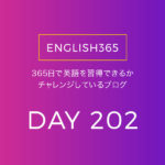 英語習得チャレンジ｢202日目｣…アルミホイルの帽子